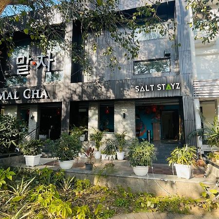 Saltstayz Select - Malcha & Chankyapuri New Delhi Luaran gambar